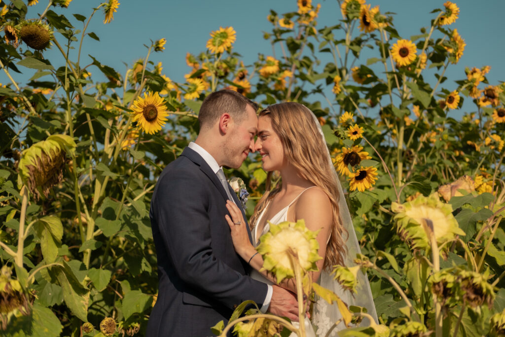 Couple portrait in sunflower garden